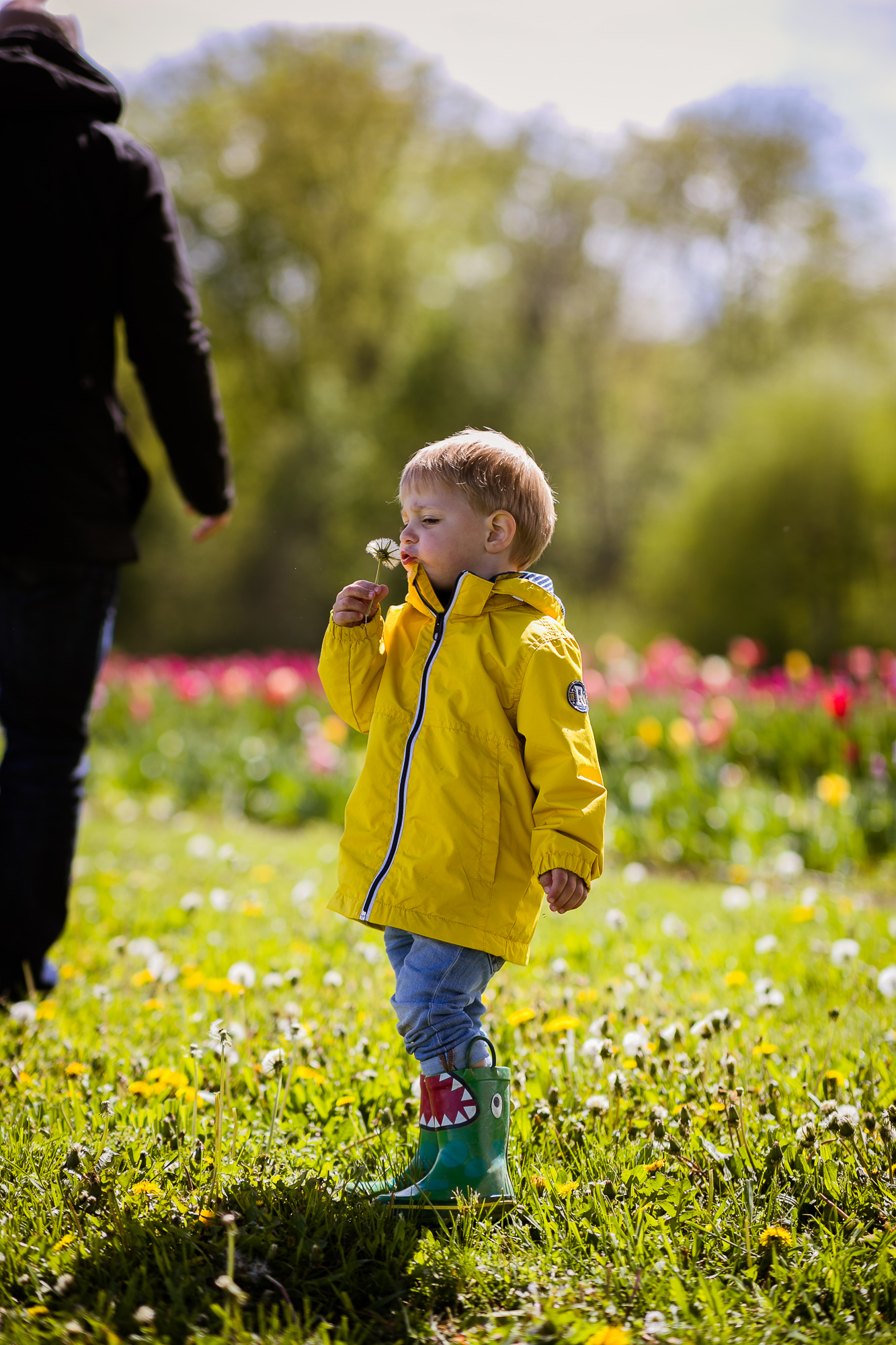 Export x3 1DX28296 Familienfotoshooting 2019 Hefti